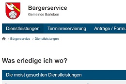 Grafik: Homepage Barleben